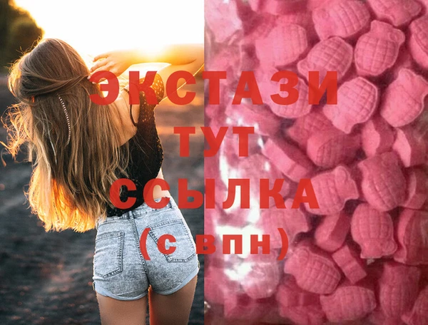 ECSTASY Алзамай